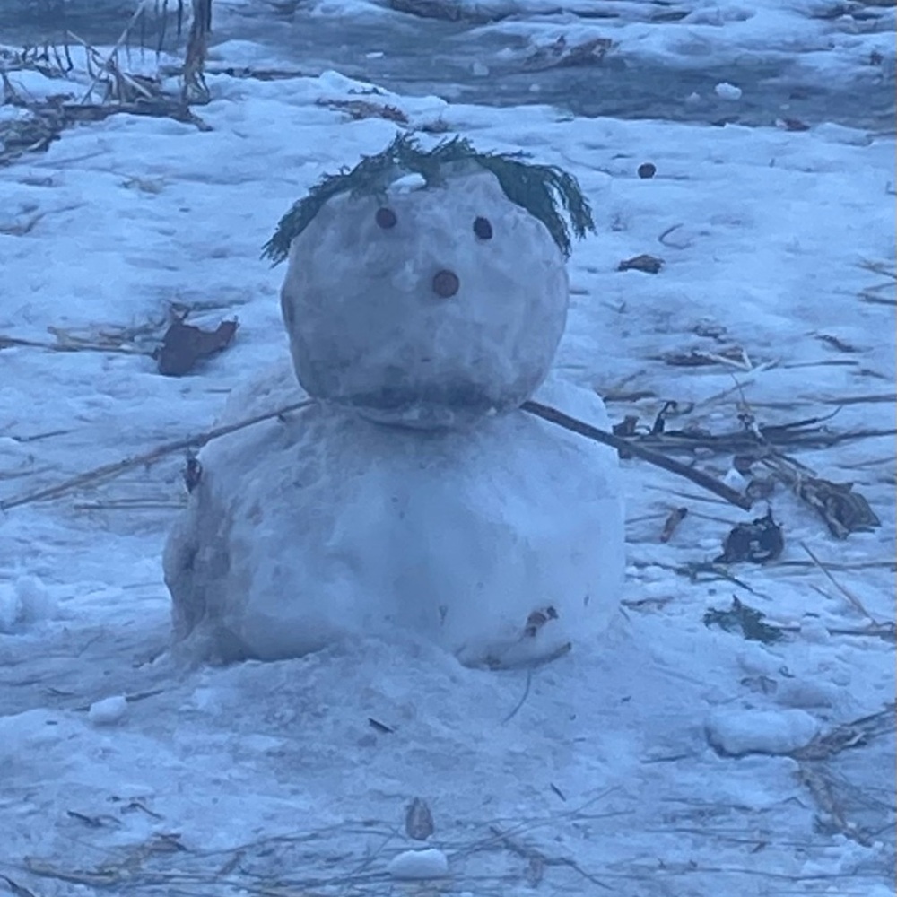 COPY - Unlisted item